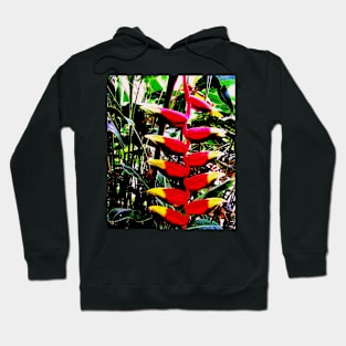 Rainforest Flower Hoodie